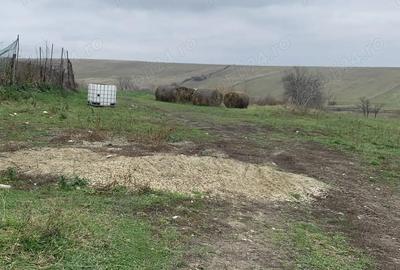 Casă cu 3 camere cu Teren 1384 Mp în Exterior Vest - 2