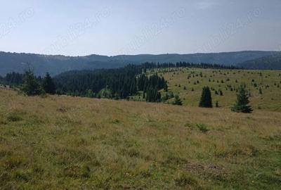 Teren de 8640 mp, în Beliș - 2