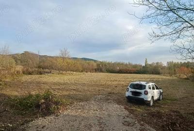 Teren de 4600 mp, în Central - 5