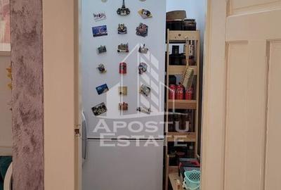 Apartament cu 3 camere decomandat, mobilat în Iosefin - 14