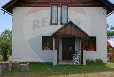 Hotel/Pensiune, de 240 mp, în Costești (Albac) - 10