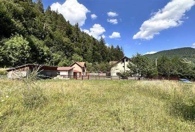 Teren Construcții intravilan de 4000 mp, în Brădet - 13