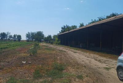 Casă cu 3 camere în Albina - 2