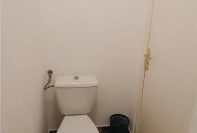 Spațiu comercial, de 45 mp, în Central - 12