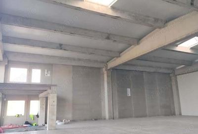 Vand hala noua 523 mp 365.000 euro - 3