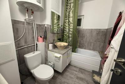 Apartament cu 2 camere decomandat, mobilat în Craiovița Nouă - 5