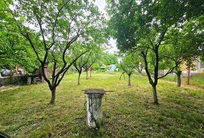 Casa 108 mp utili, teren 1750mp, semineu, foisor, livada,  comision 0 - 13