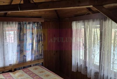 Casă individuală cu 12 camere cu Canalizare în Valea Alba - 15