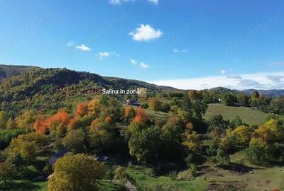 Teren de 3500 mp, în Cacica - 2