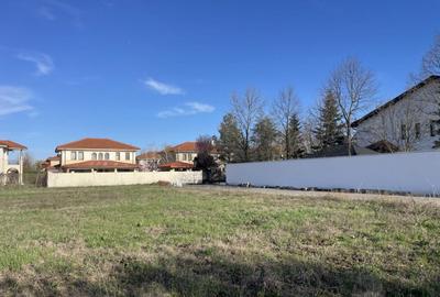 Domne?ti, Curtea Domneasca teren 2572mp, deschidere 44ml, u - 3