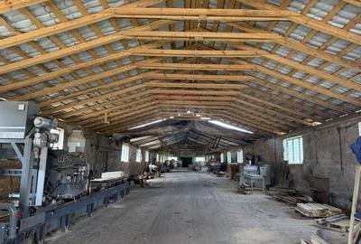 Hala-depozit de vanzare-800 mp-Sic- Investitie - 1