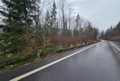 Teren de vanzare Hangu. Intravilan. Deschidere la LAC - 3