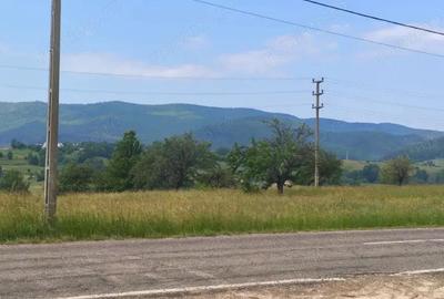 Casă cu 3 camere cu Teren 5000 Mp în Rădăuți - 1