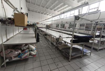 HALA PRODUCTIE/DEPOZITARE/BARIERA BUCURESTI - 5