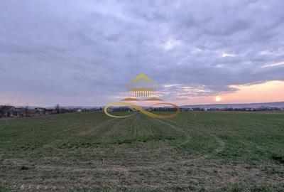 Teren agricol intravilan de 7774 mp, în Lilieci - 4