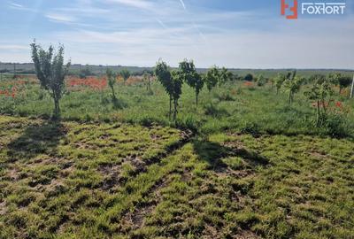 Teren agricol extravilan de 3500 mp, în Remetea Mare - 3