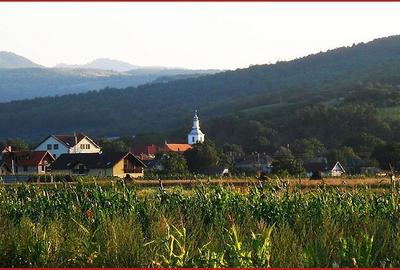 Teren de 2900 mp, în Florești - 1