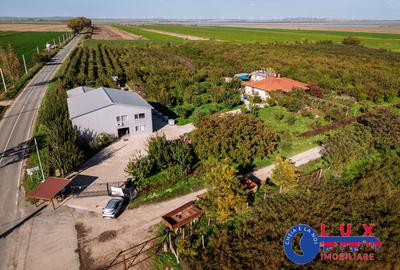 Teren agricol intravilan de 44999 mp, în Agighiol