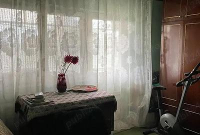 Apartament 3 camere Lugojului decomandat amenajat centrala proprie - 10