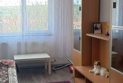 Apartament cu 2 camere în Șilindru - 3