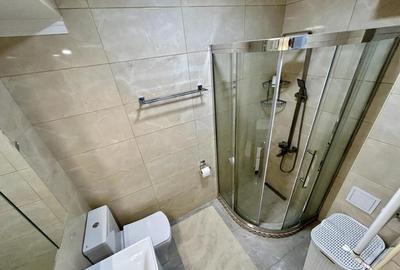 Apartament de inchiriat in zona Noua - 3