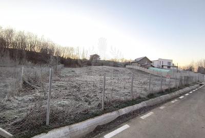 TEREN INTRAVILAN//COM. PLOPU//1300//2700 MP - 7