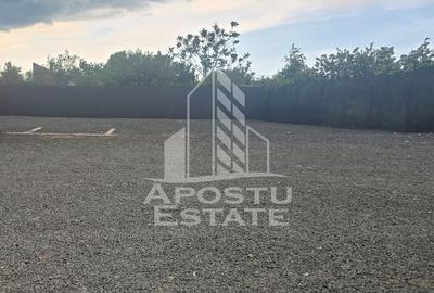 Teren 500 mp - Aradul Nou - 2