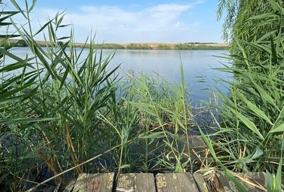 Casă cu 2 camere cu Teren 1134 Mp în Central - 11