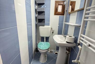 Casă cu 3 camere cu Canalizare în Viile Noi - 10