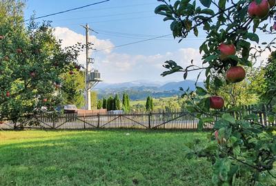 Teren pentru investitie sau casa de vacanta , Pestera , Brasov - 10