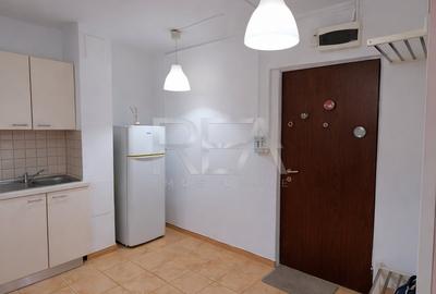 Apartament cu 3 camere decomandat, mobilat în Tineretului - 8