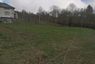 Casă cu 3 camere în Moisei - 8