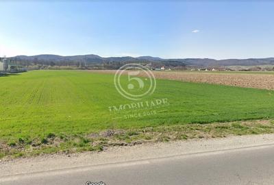 Teren Construcții extravilan de 21280 mp, în Vulcan - 6