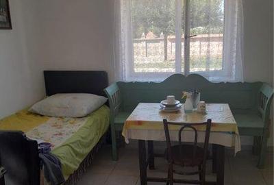 Casă cu 3 camere cu Teren 130 Mp în Tulca - 5