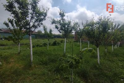 Casa individuala 3 camere, Sacalaz- Cabana cu Semineu - 13