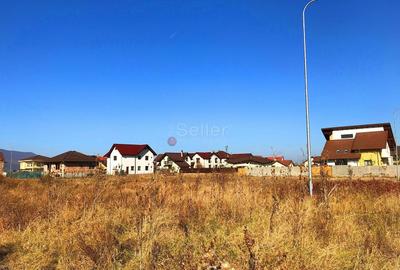 Teren investitie Ghimbav - 6