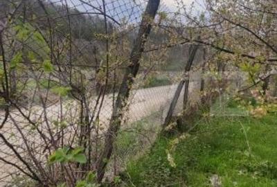 Spațiu comercial, în Gemenea-Brătulești - 19