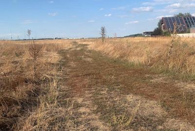 Matei Millo  Serenety  Vanzare  teren 1000mp (140eur/mp) - 2