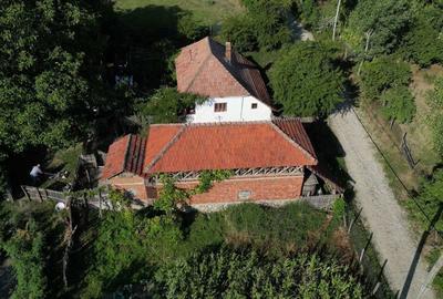 Casă cu 2 camere în Bârseștii de Sus - 8