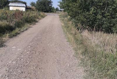Teren de 4000 mp, în Căldărușeanca - 2