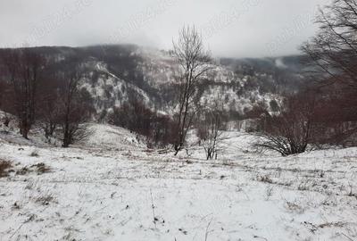 Teren de 2746 mp, în Alexandru cel Bun - 2