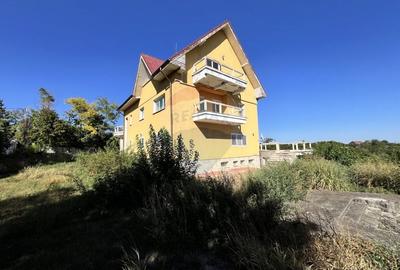 Casa cu potential imens in Sat Lilieci, pe Aleea Florilor - langa raul - 36