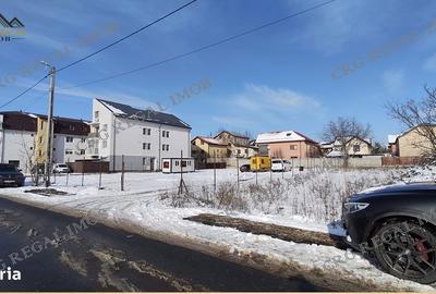 Spațiu comercial, în Central