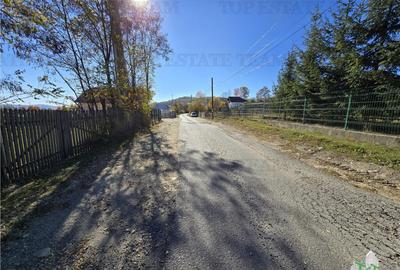 Teren intravilan de / Maneciu Pamanteni - 2