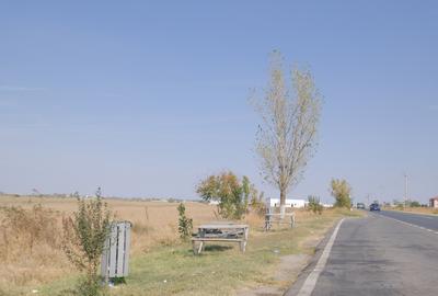 5,7 Ha. vav de Dovinot - Mihailesti, teren intravilan cu deschidere la DN6 - 3