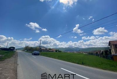 Teren intravilan 7130mp Orlat
