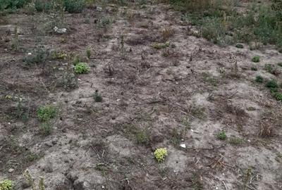 Teren Construcții intravilan de 2000 mp, în Covaci - 2