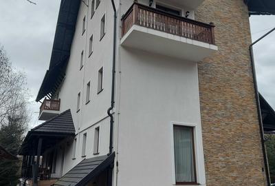 Esti interesat de proprietate si afacere la munte in Bucovina - 2