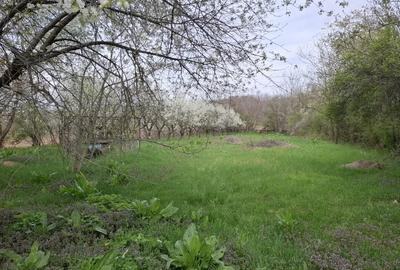 Casă cu 4 camere cu Teren 3850 Mp în Olanu - 4