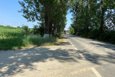 Teren Construcții intravilan de 5000 mp, în Siliștea Snagovului - 5